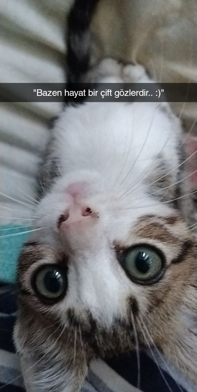 Beyza Saklı Kaya
