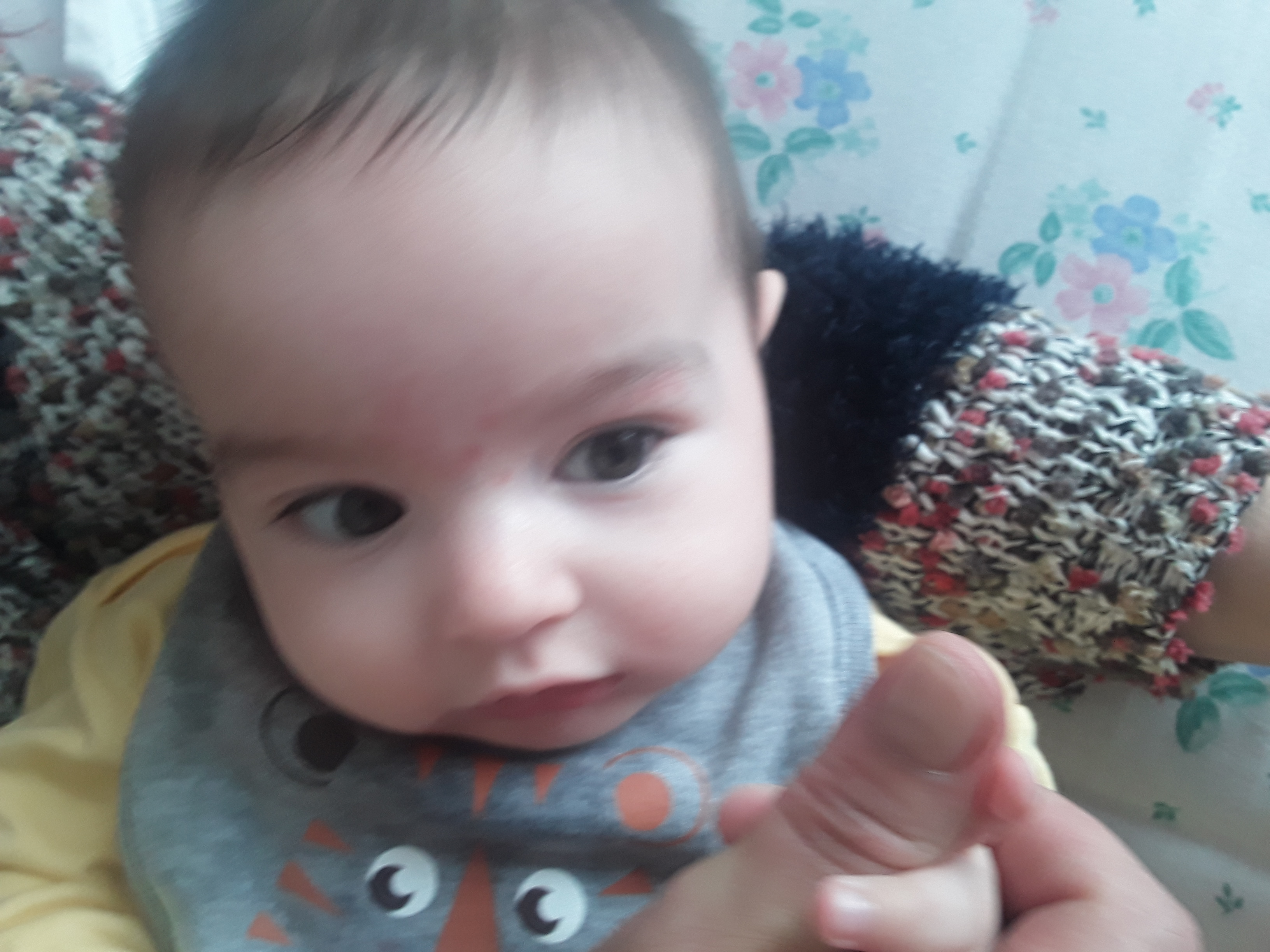 ELİF