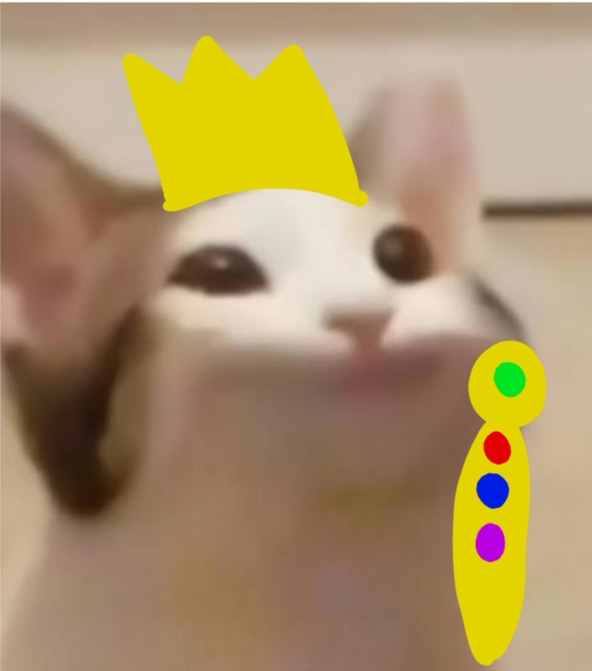 Kedi