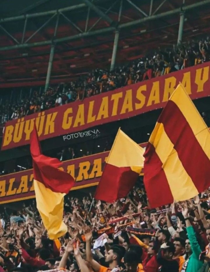 Deniz Işılay