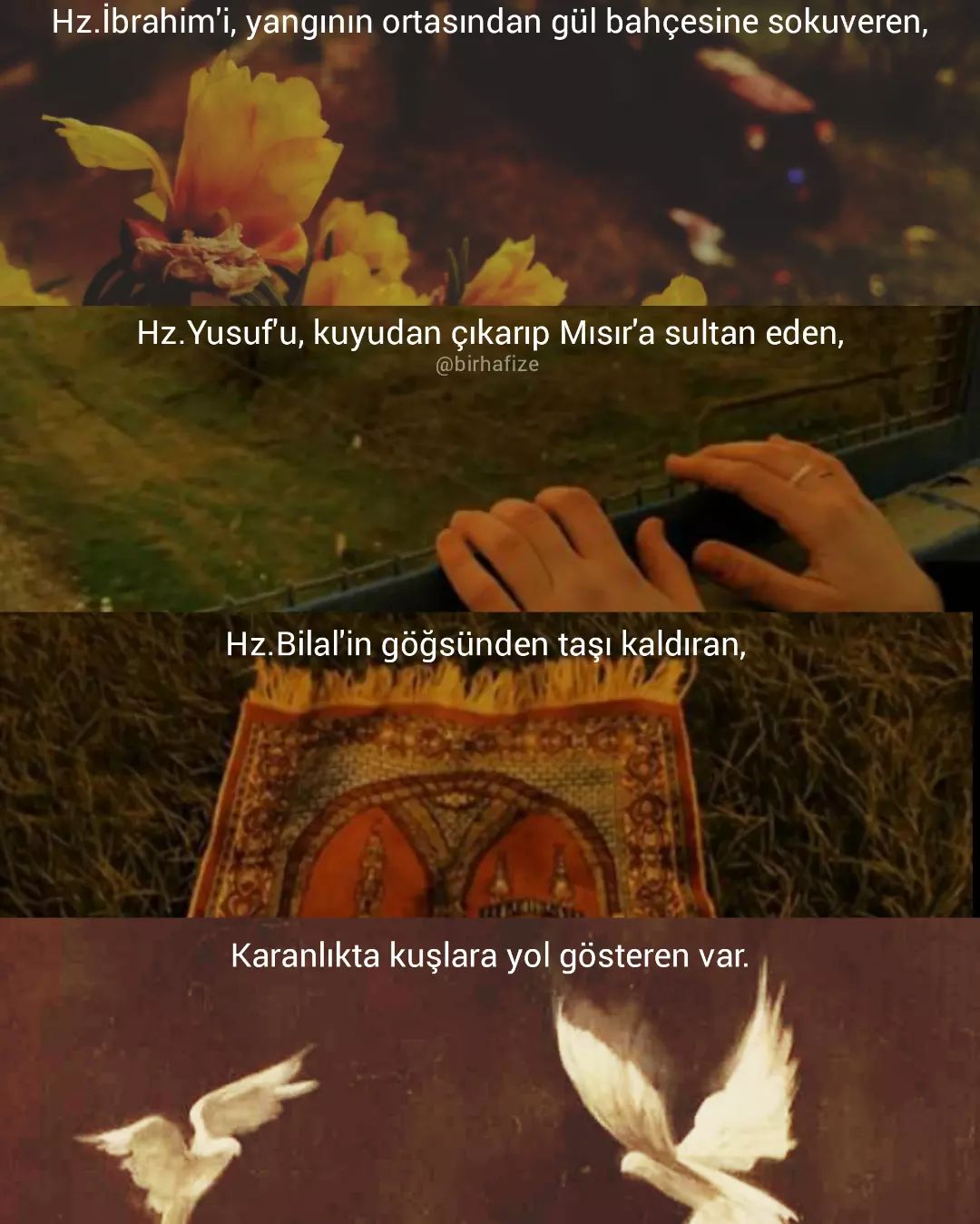 Zehra