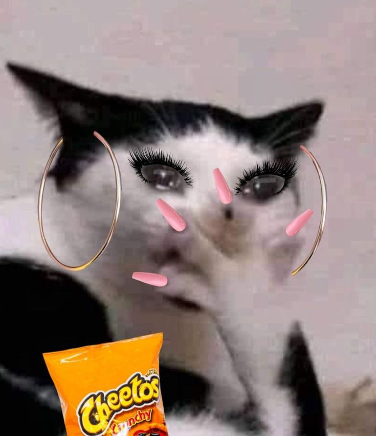 Zeynep