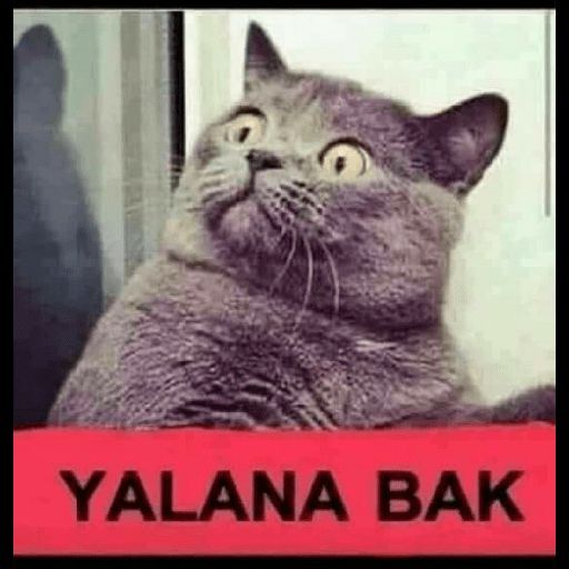 Yalana bak