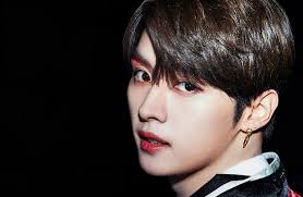 Lee Minho
