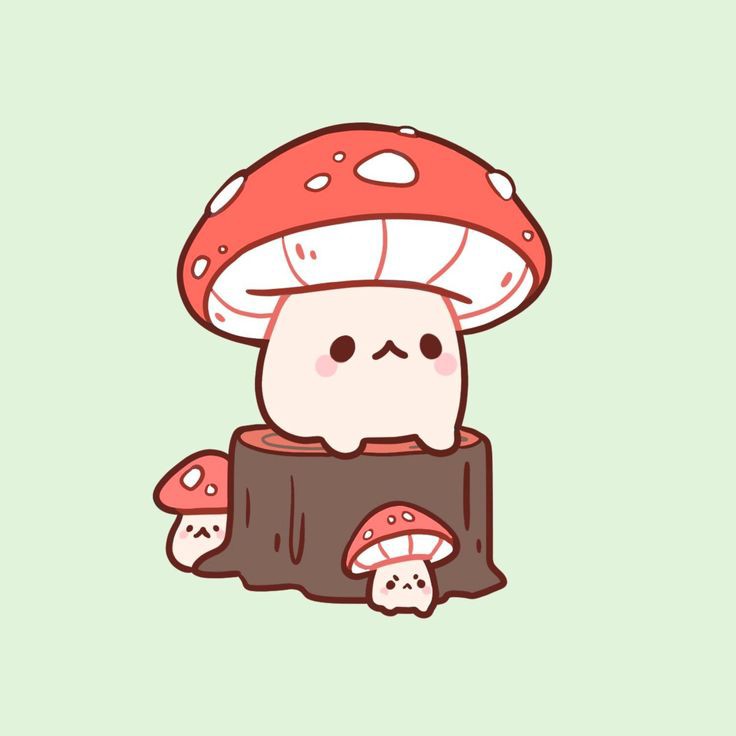 •°MushMush🍄°•
