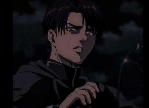 Live Ackerman