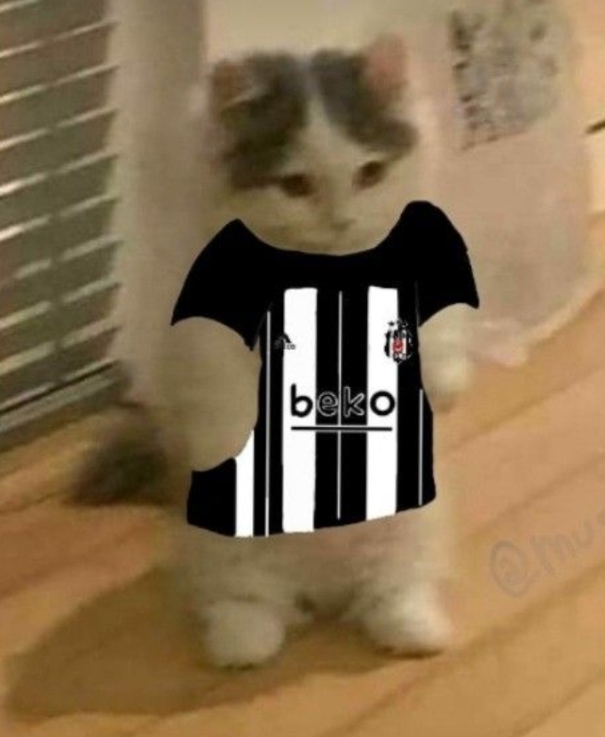 Nisaniste