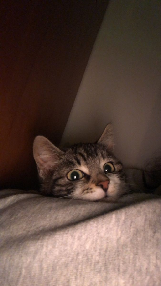 Mia~