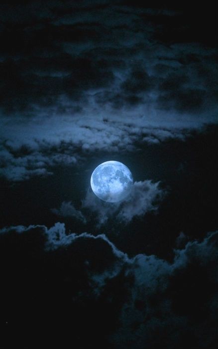 🌙Selenophile🌙