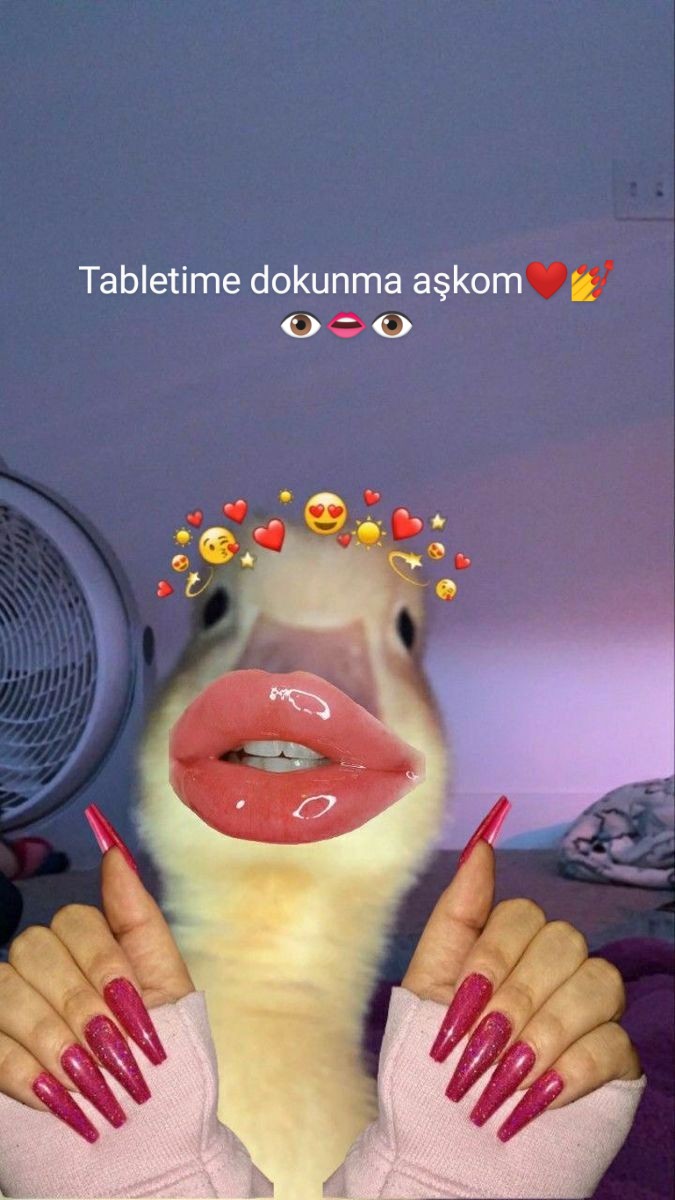 Pamuk