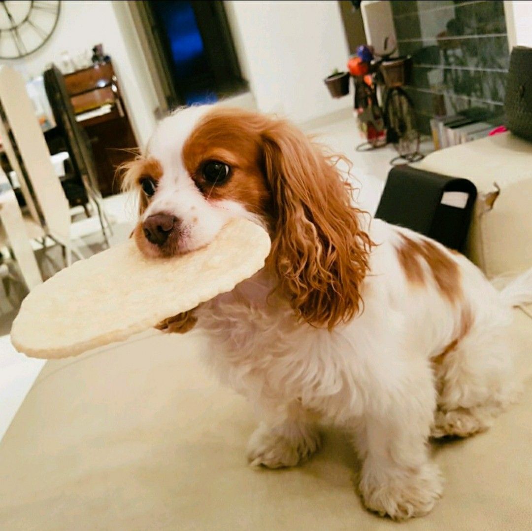 ZeynO