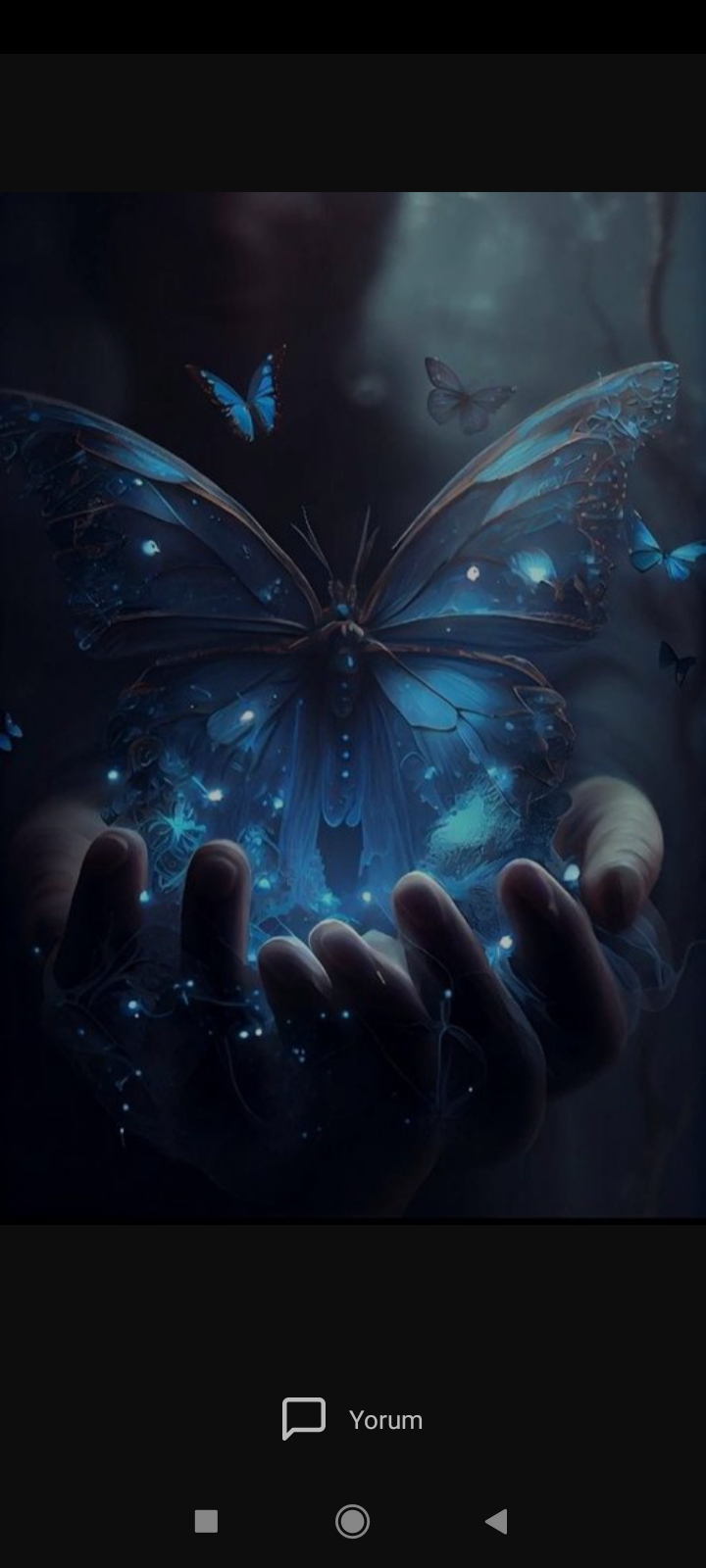 Orion