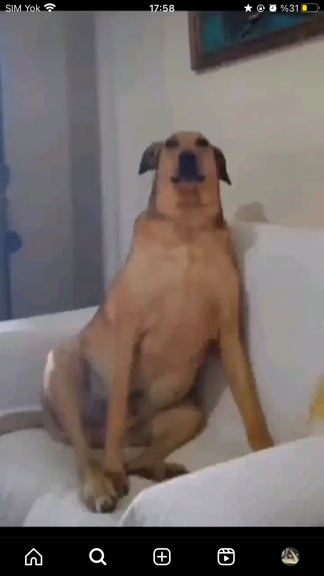 mistik