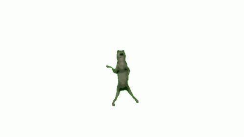 Bozkurt🐺Auu