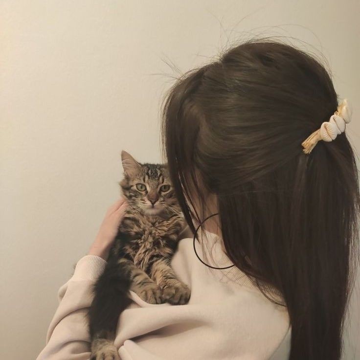 zeyneb