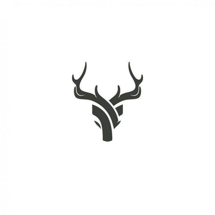 Akademi