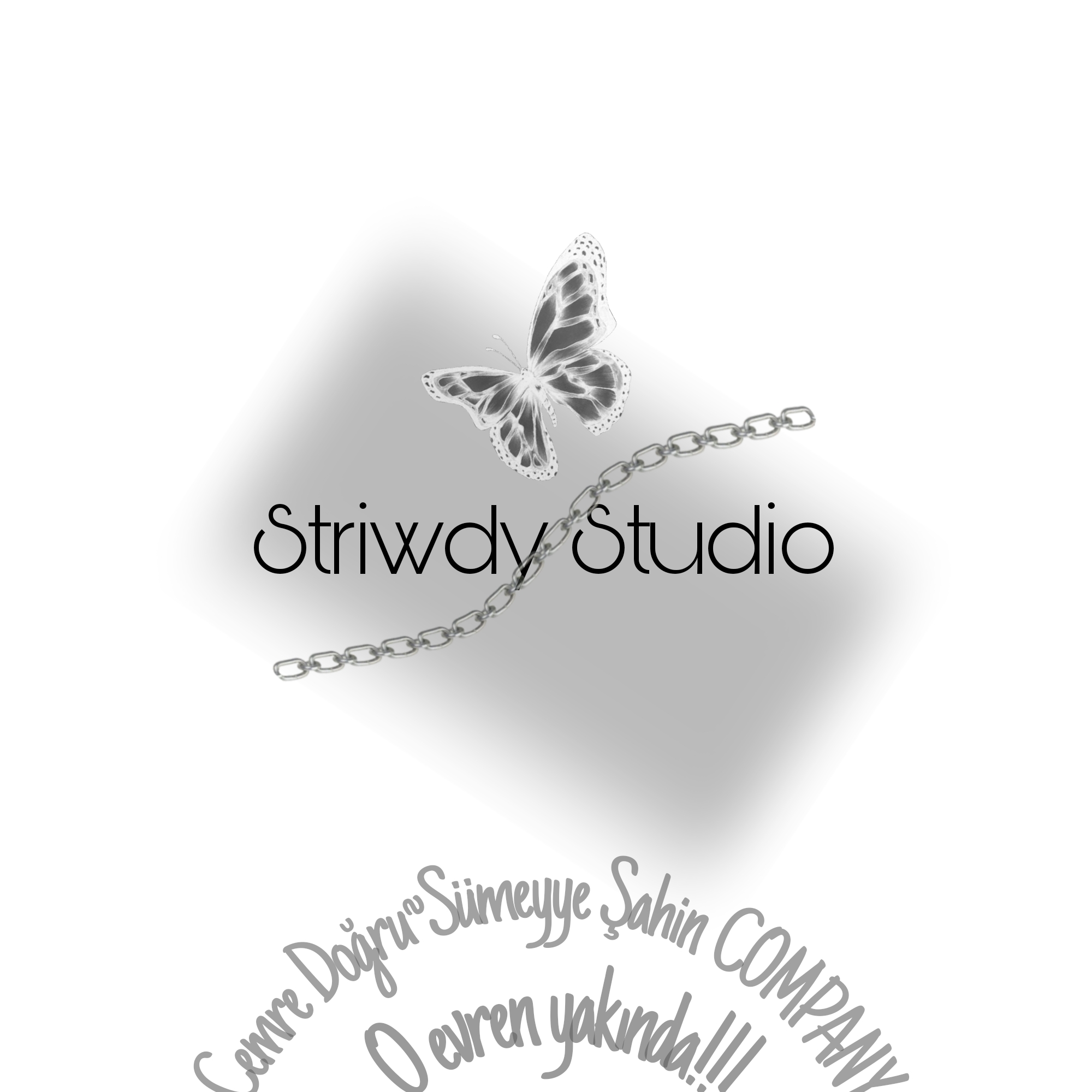 Striwdy Studio