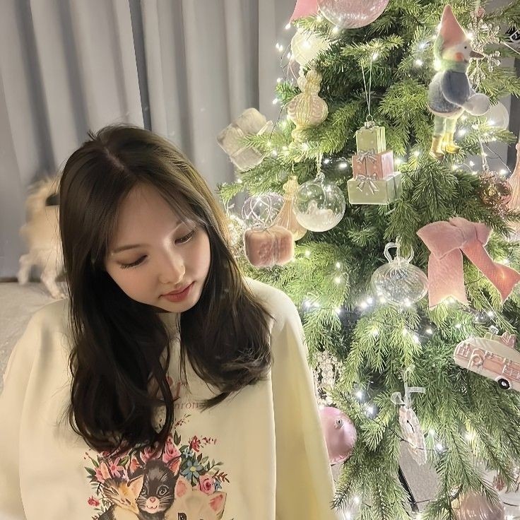 Kpop fan