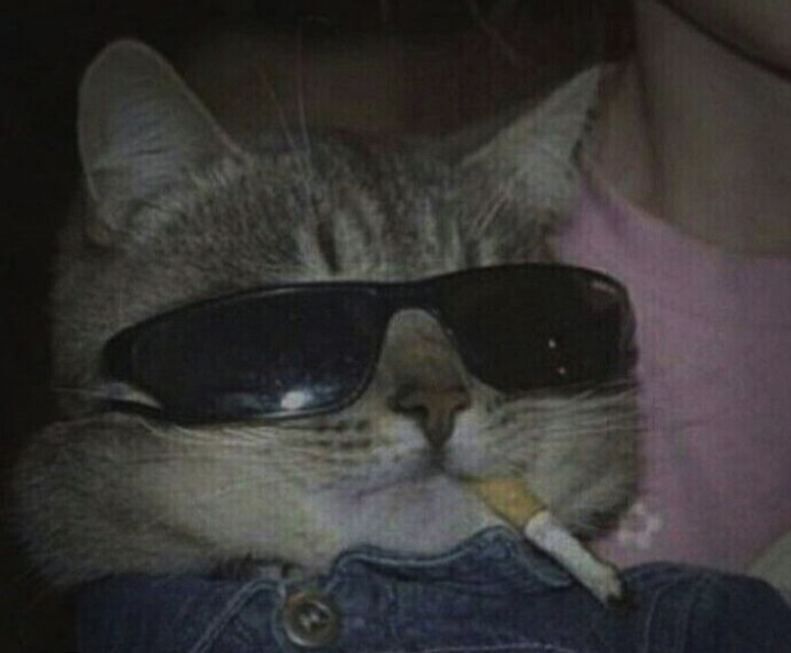 keko kedi 🐈‍⬛