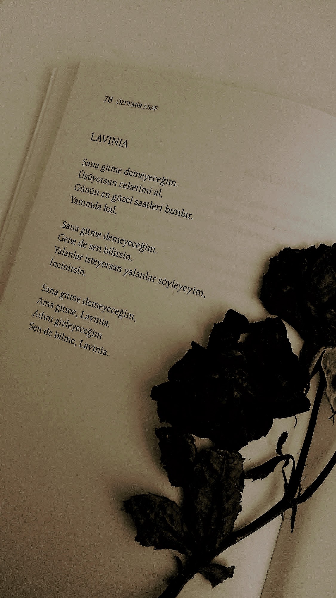Lavinia