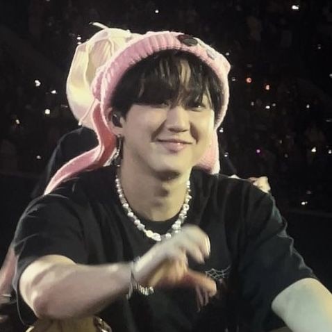 Bir Stray Kids Aşığı
