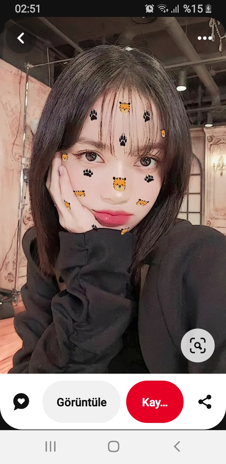 ♡°~Theinci~°♡