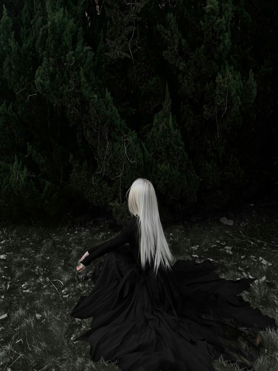 Amaris Woods