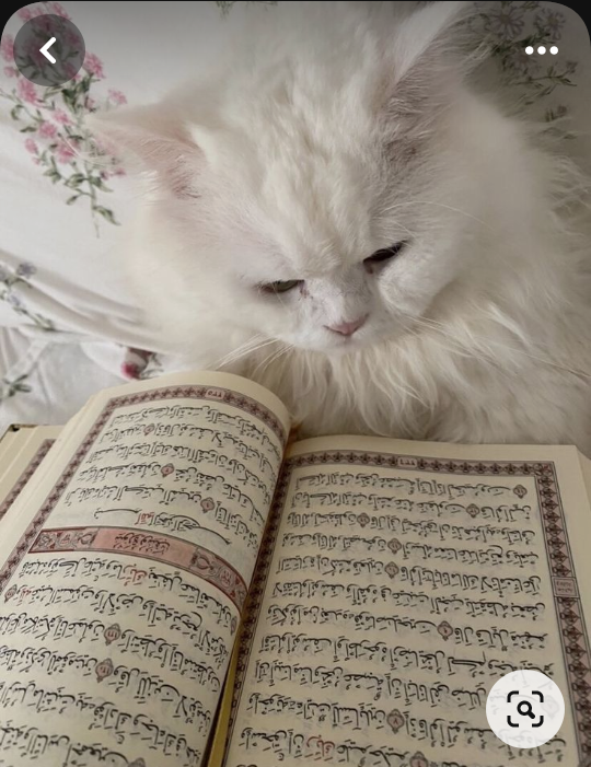 Cemre melek Bilgiç