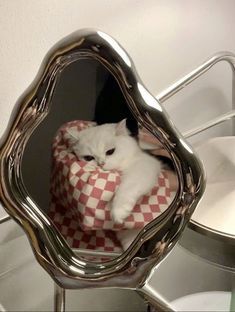 ❤️Kedi aşığı💛