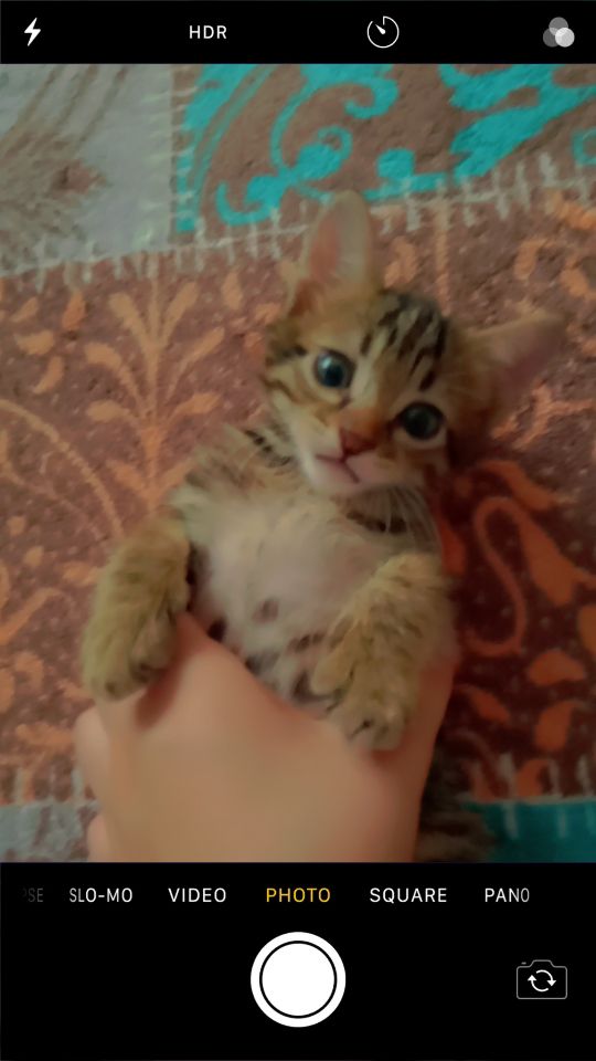 Kayra