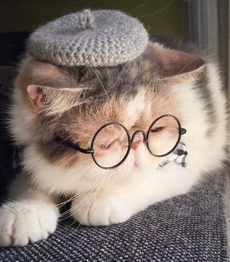 Kuyruklu yıldız