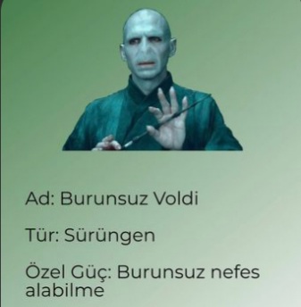 Elmacı
