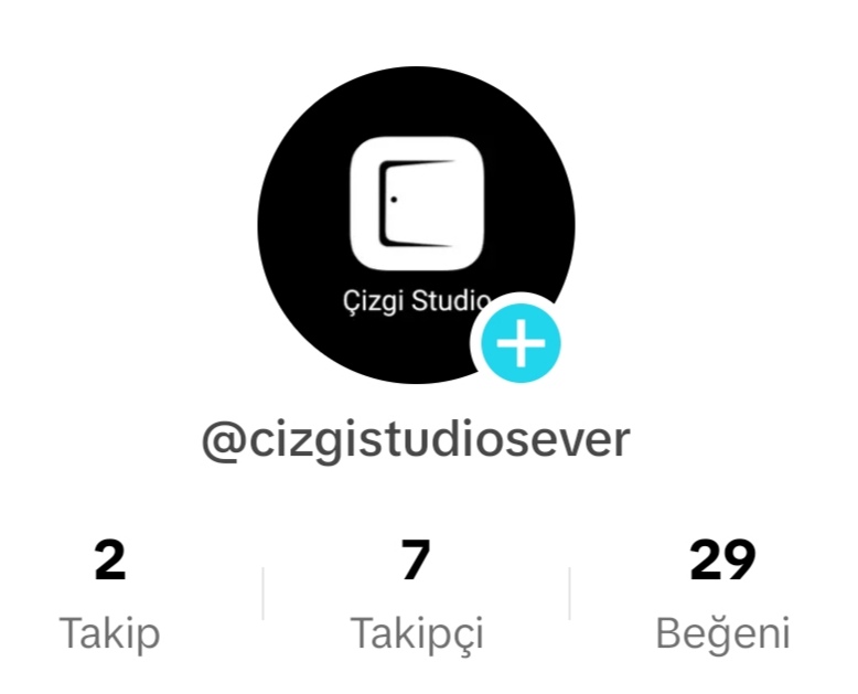 Çizgi Studio TikTok