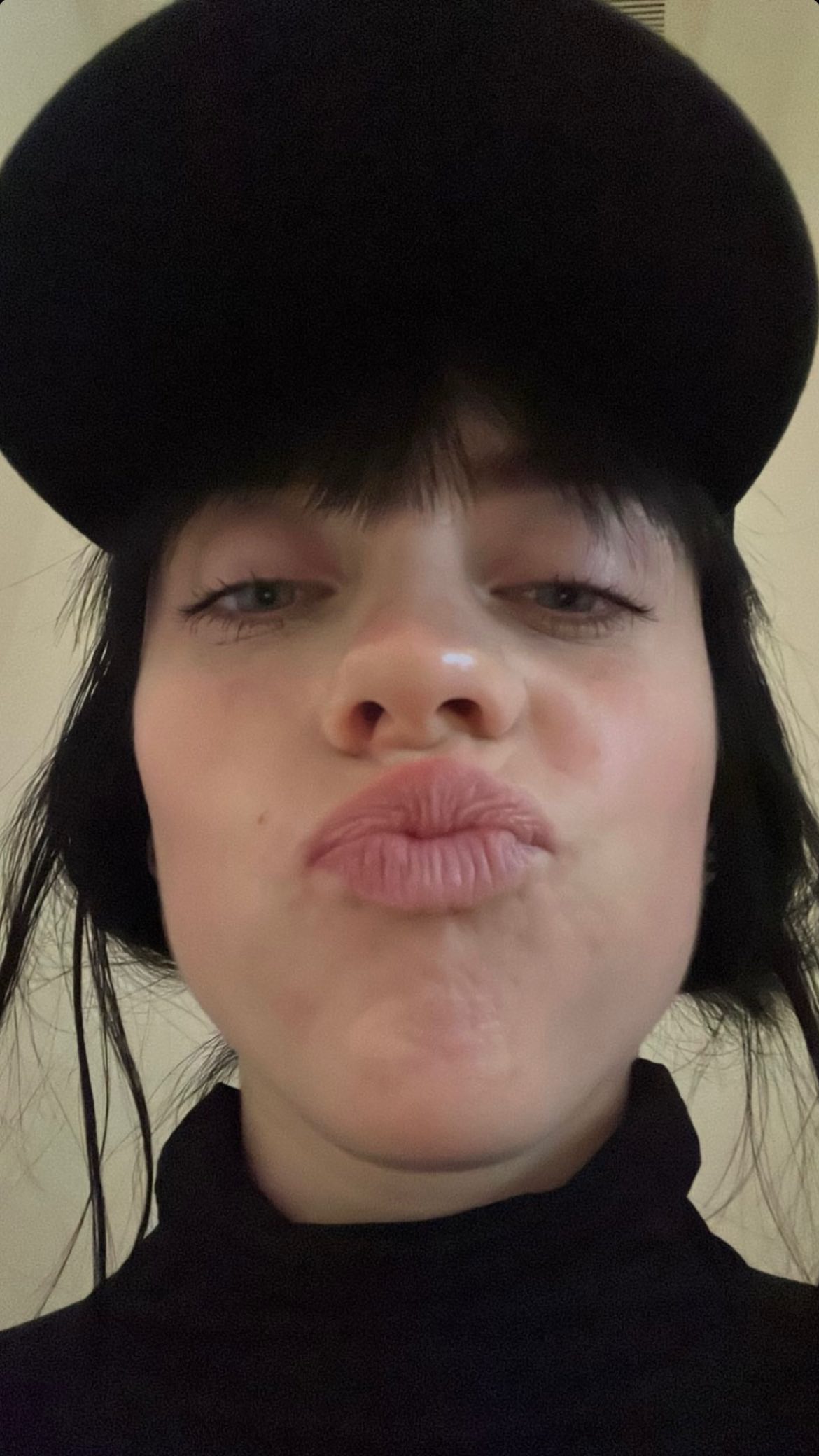 toprak