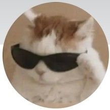 Cat,