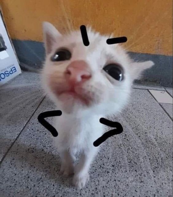 Medosko💋