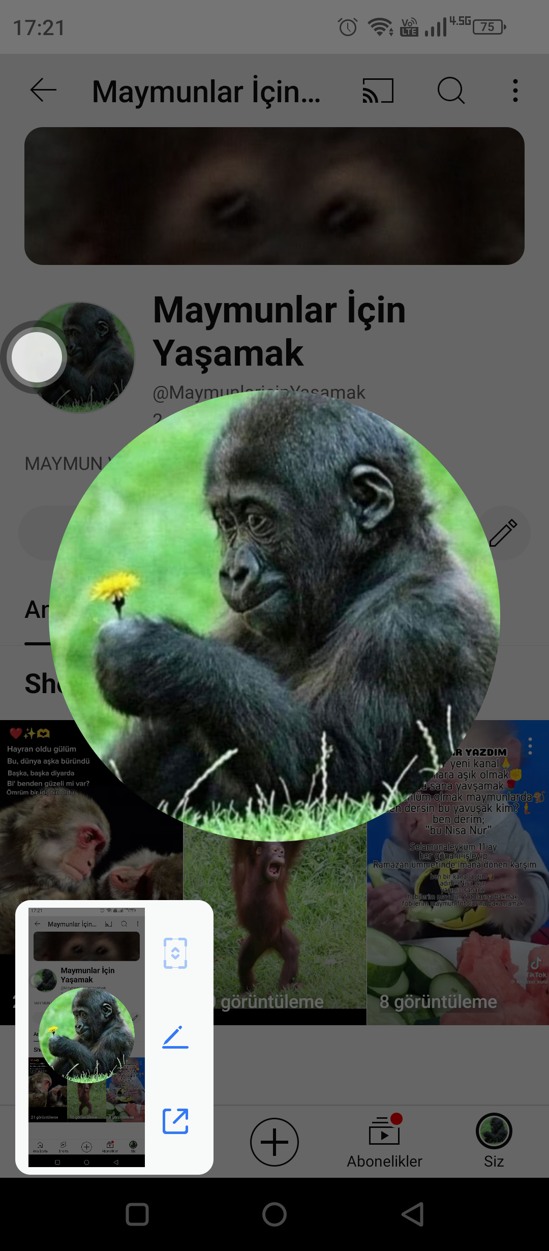 Kraliçe Maymun 🐒