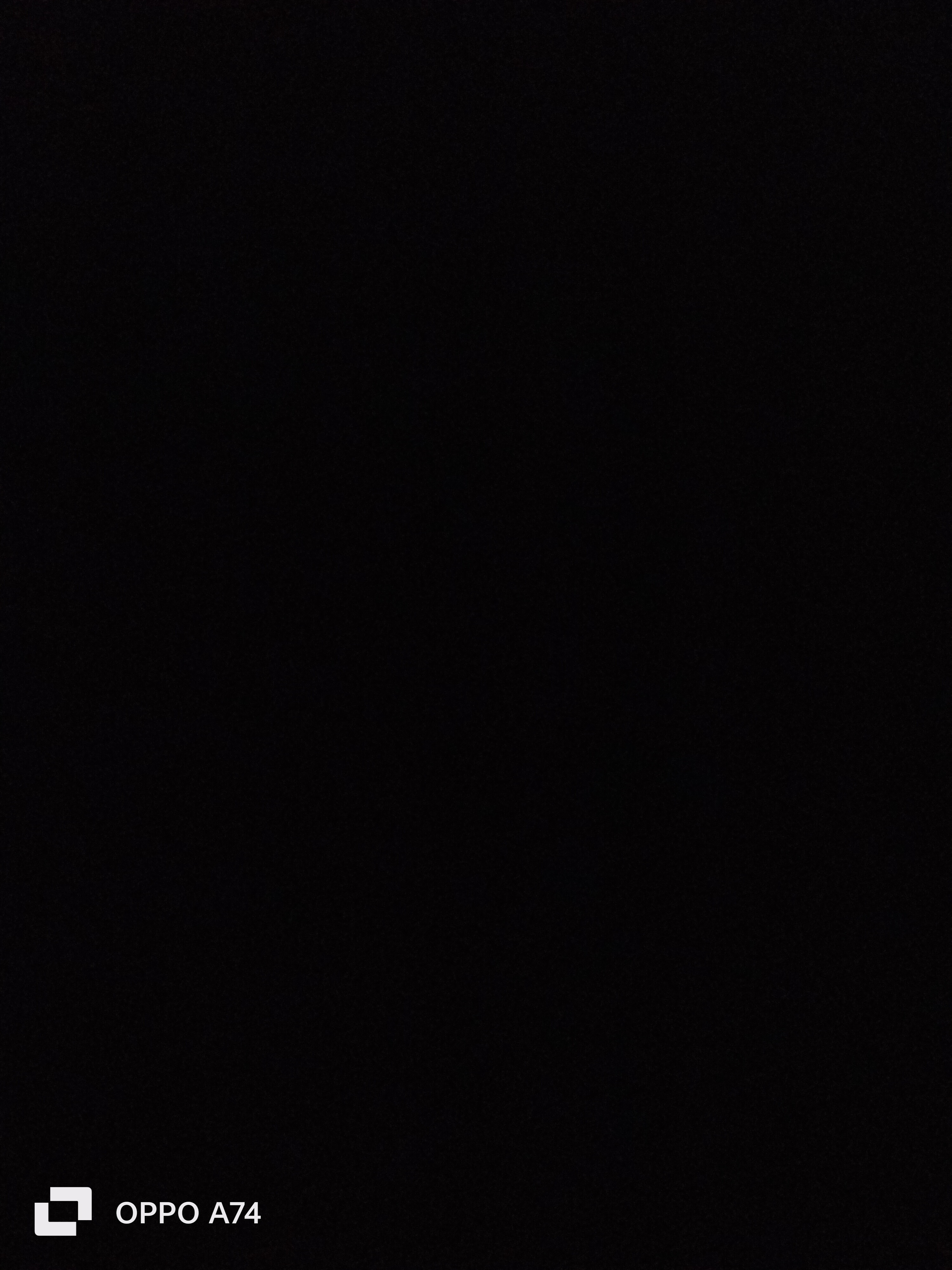 Mucuk🐧