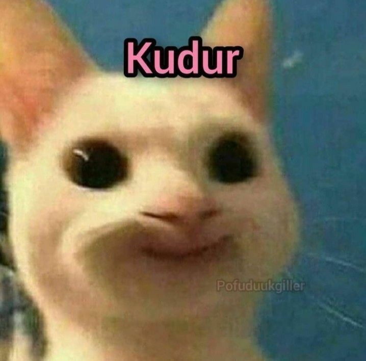 Okur işte