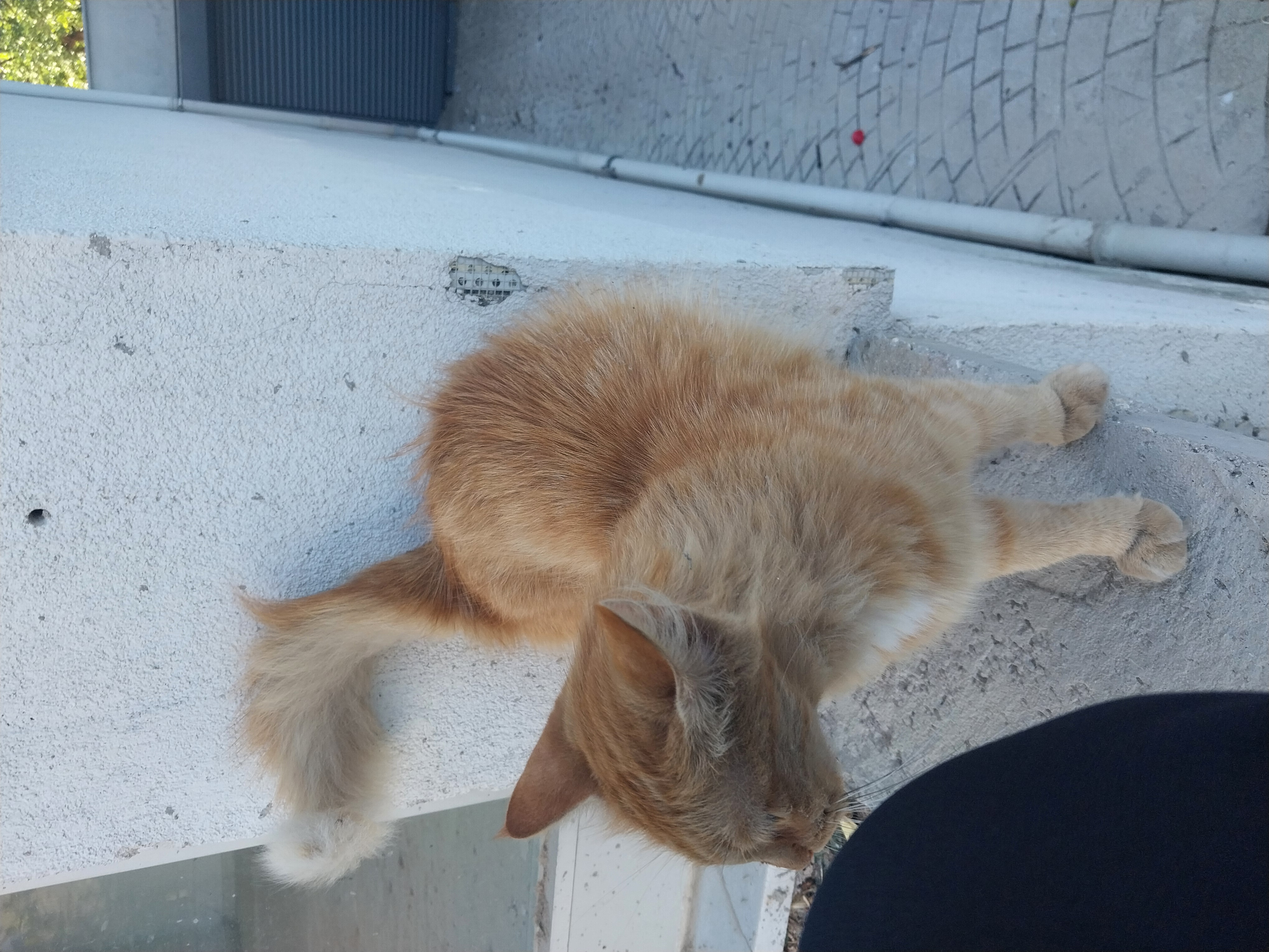 Pembe