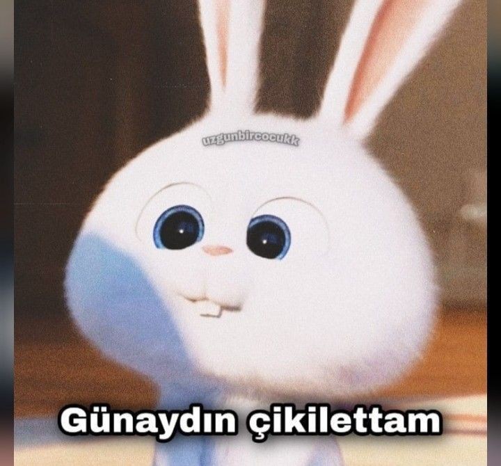 Alaz Altuğ Sipahi