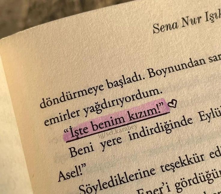 Bir okur