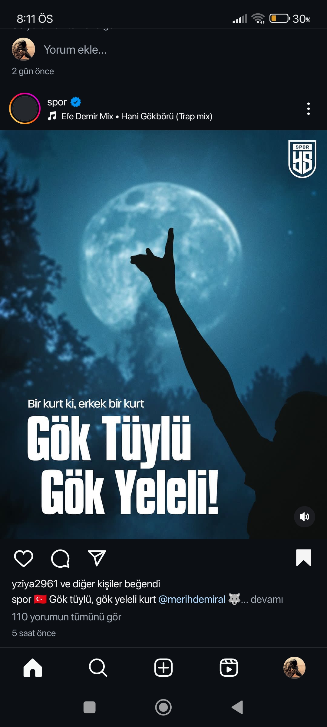Kedi kız