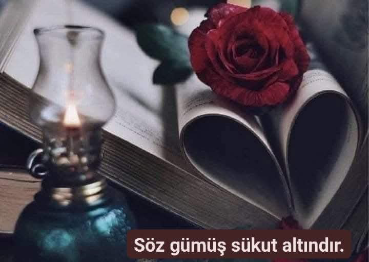 Gül Sultan 💙🇹🇷❤️