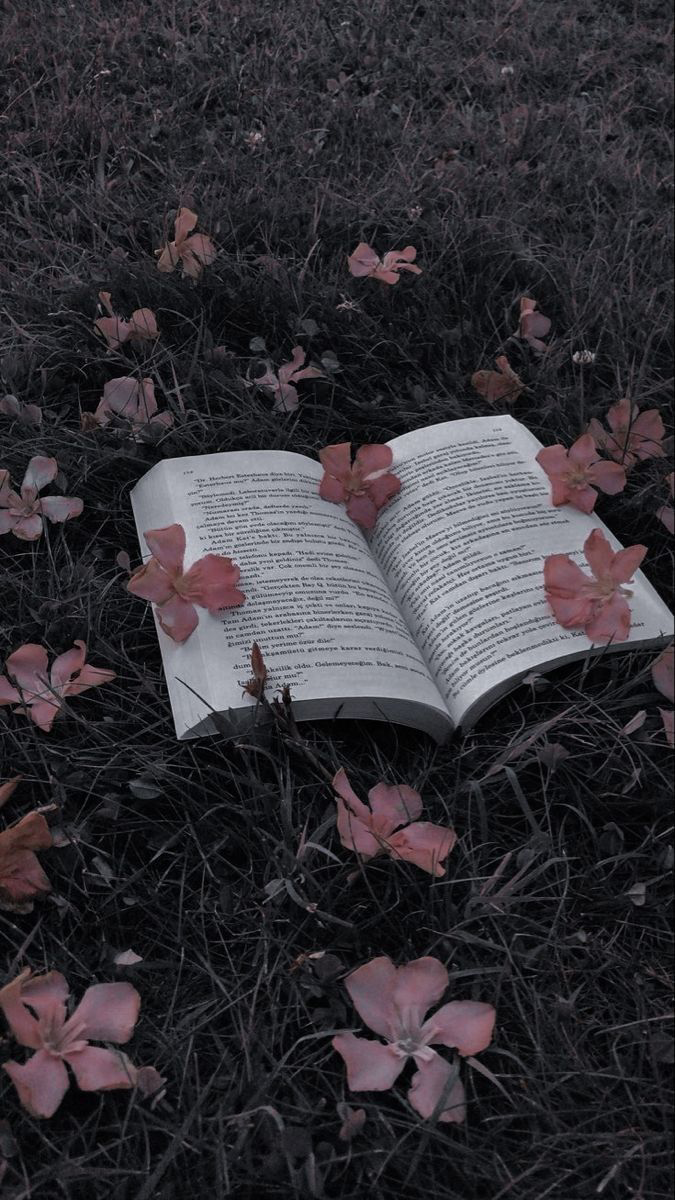 Only_kitap