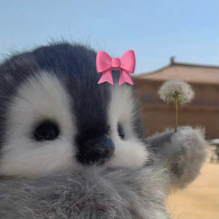 elaa