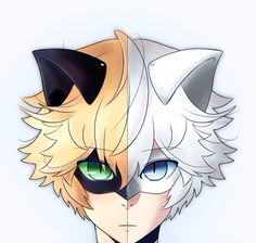 Cat noir🐾