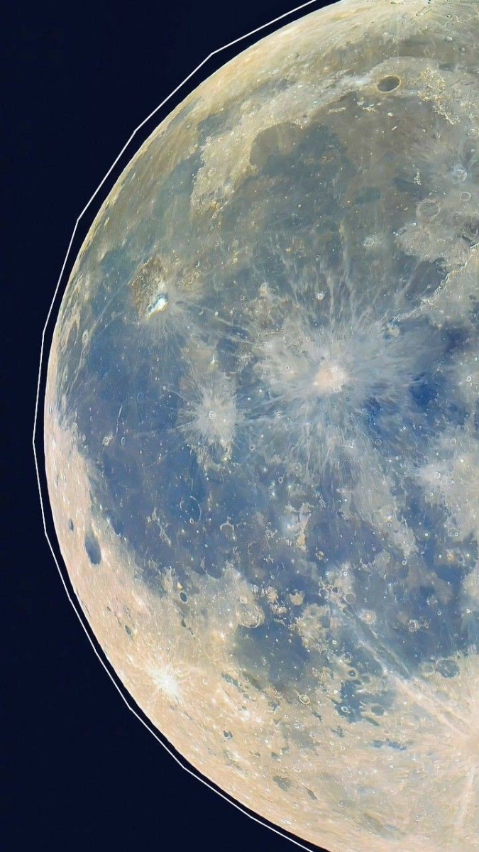 Mervaria