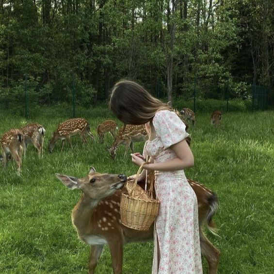 🎀✨🌺