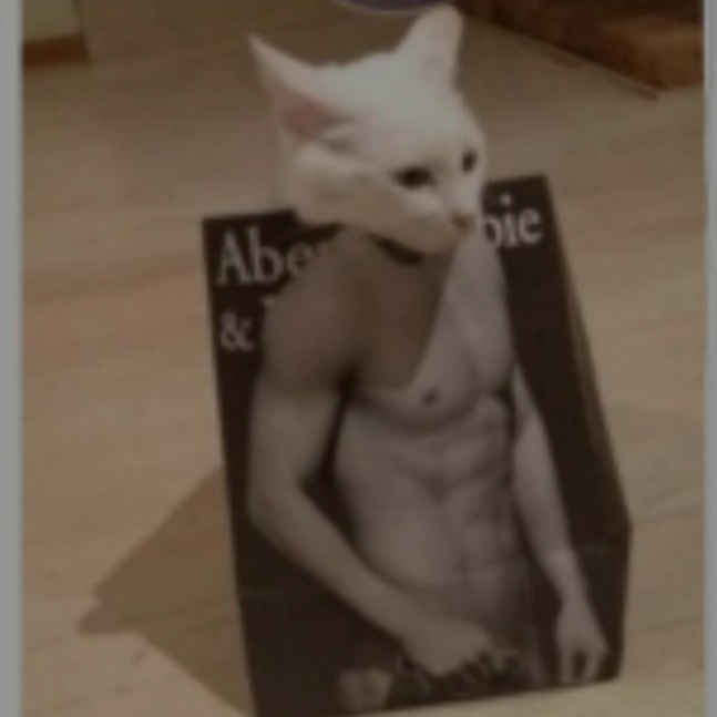 Pussy cat's